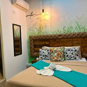 book here
